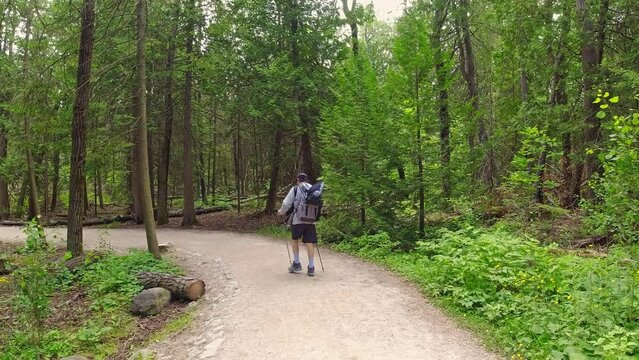 Hiker with backpack and photo gear walking at hiking trail in fir tree green summer forest at sunny day. Bruce Peninsula National Park, Ontario, Canada.