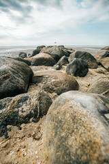  boulders on the beach at low tide.Wadden Sea Coast.Stone groyne close-up on cloudy sky background.. Marine photo wallpaper.Nature of the North Sea coast. Frisian Islands of Germany.  - 782568751