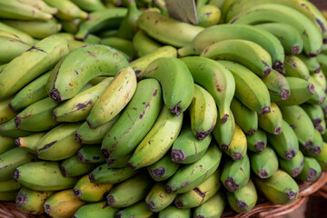 Bunches of Green Bananas at the Funchal, Madeira, Portugal Fruit Market