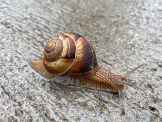 Very slow moment 
