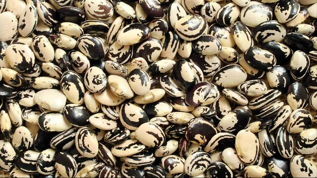 Fresh fava beans on the table.