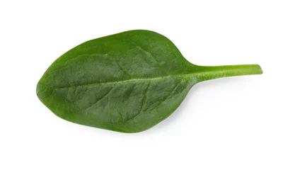 Fotobehang One fresh spinach leaf isolated on white, top view © New Africa