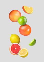 Many different fresh citrus fruits in air on light grey background