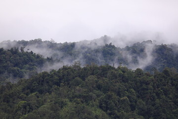 fog in the mountains batang ai borneo malaysia