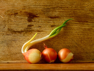 still life with vegetables for background - 782617151