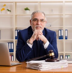 Aged lawyer working in the courthouse - 782618373