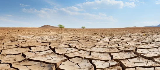 Foto op Plexiglas Dry cracked earth background. Global warming, climate change concept. © nahij
