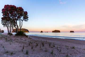 A Breathtaking View of Whangamata Beach as the Sun Sets, Casting a Spectacular Purple Glow Across the Sky,