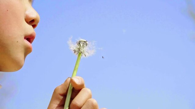 A Child Blowing A Dandelion, a little boy against the background of the sky blows