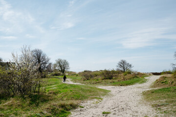 The road along the Baltic Sea coast