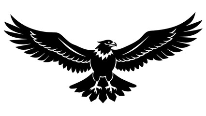 American   osprey bird