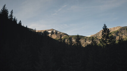 Sun silhouette of fir forest aerial. Mountain ridges at shadow. Nobody nature landscape at sunny autumn day. Cinematic spruce trees at woodland. Carpathians mounts, Ukraine, Europe