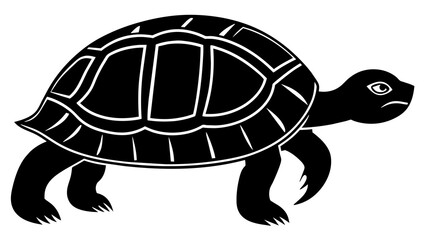 turtle and svg file