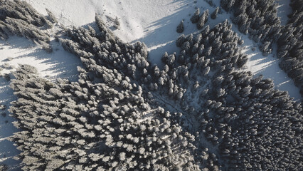Top dowm mountain village at snow fir forest aerial. Nobody nature landscape at winter sunny day. Sun over conifer trees. Cottages at snowy valley. Frost Carpathian mount, Bukovel, Ukraine, Europe
