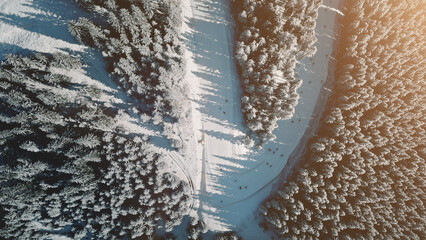 Top down sun snow mountain aerial. Winter nature landscape. Tourists attraction. Fir forest on mount hill. People lifestyle. Active sport. Cinematic Carpathians ridge, Bukovel Resort, Ukraine, Europe