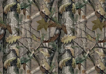 Foto auf Acrylglas Real Tree Seamless Camouflage Pattern Vector © Sybil Stock Program