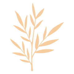 Fototapeta premium Aesthetic Leaf Illustration