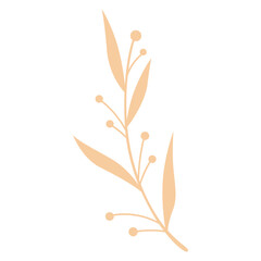 Aesthetic Leaf Illustration