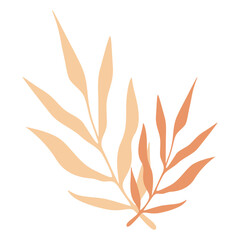 Aesthetic Leaf Illustration