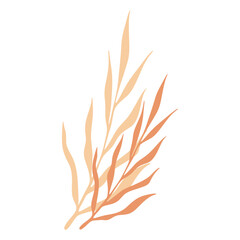 Aesthetic Leaf Illustration