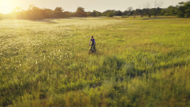Woman ride bike at sun field aerial. Summer nature landscape. Girl drive bicycle at rural meadow. Active sport lifestyle. Recreation. Blossom flowers at green grass valley. Kyiv city, Ukraine, Europe