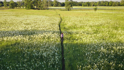Recreation vacation at blossom flowers top down aerial. Woman ride on bike at green grass field. Traveler girl at grassy meadow. Greenery nature landscape. People at rural Kyiv, Ukraine, Europe