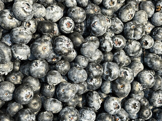 Raw fresh blueberry heap background. Natural fruits patterns