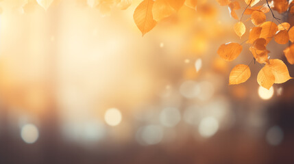 Beautiful autumn landscape with yellow trees and sun. Colorful foliage in the park. Falling leaves natural background