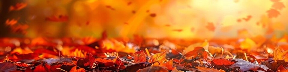 A bunch of colorful autumn leaves scattered on the ground, forming a textured background template. Banner. Copy space.