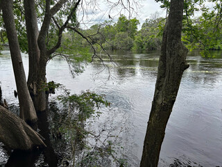 Suwannee River