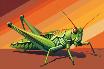 Illustration of locust on orange background