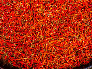 Dry red chili on threshing basket left to dry on the sun. Traditional asian food preservation, it...