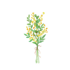 水彩画。水彩タッチのミモザベクターイラスト。ミモザの花束。Watercolor painting. Mimosa vector illustration with watercolor touch. Mimosa bouquet.
