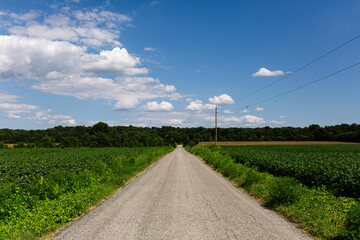 Fototapeta na wymiar Rural Landscape Featuring a Long Road Stretching Between Verdant Green Fields Under a Bright Blue Sky with Clouds