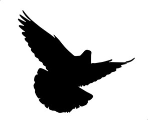 Vector illustration of the silhouette of a dove flying for Christmas day