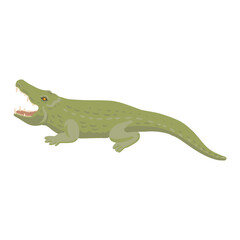 vector drawing green crocodile isolated at white background, hand drawn illustration - 782695781