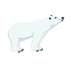vector drawing polar bear, cartoon animal isolated at white background, hand drawn illustration - 782695941