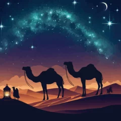 Foto op Plexiglas Vector camels in the night desert starry sky © MdAbdullah