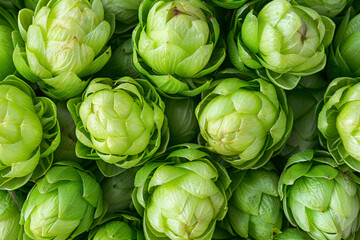 Obraz premium Green fresh hop cones for making beer and bread. Brewery and Oktoberfest concept. Herbal natural medicine. Closeup pattern background for design banner, poster, card. Flat lay, top view