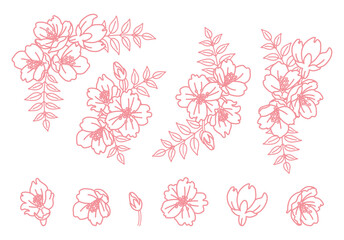 Set of Cherry blossom flower design element
