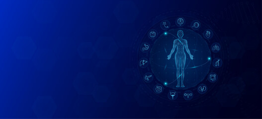 Anatomy of the human body. Icons internal organs female. Health care medical innovation and science. Background banner design with empty space for text. Vector EPS 10.