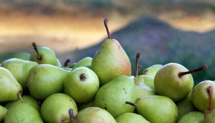 pears and apples
