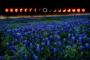 Full Eclipse above Bluebonnet Field in Dallas, Texas