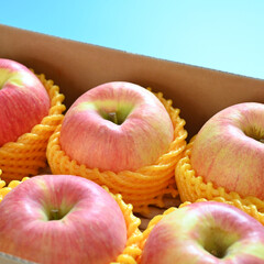 beautiful pink apple in the box on blue background - 782729390