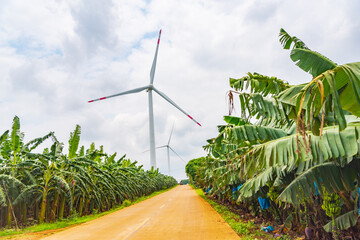 Aerial photography landscape of sea sunset and windmills in Pineapple, Xuwen County, Zhanjiang,...