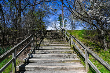 stairs and bridges in  spring's delicate dance unfolds in this captivating close-up of cherry blossoms against a clear blue sky, heralding the season's renewal
