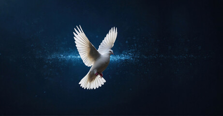 Obraz premium white dove flying on a dark background, flying white dove symbol of peace