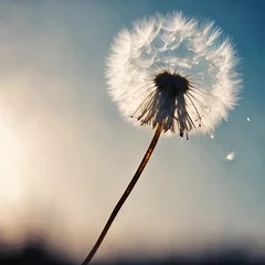  a dandelion seed floating through the sky - 1 © Benjaporn