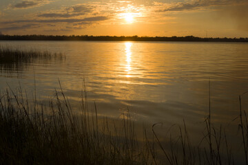 A scenic view of Carolina Beach State Park in North Carolina. 