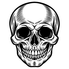 skull and crossbones head mascot,skull silhouette,vector,icon,svg,characters,Holiday t shirt,black skull drawn trendy logo Vector illustration,skull on a white background,eps,png